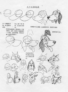 迪斯尼动物动画
