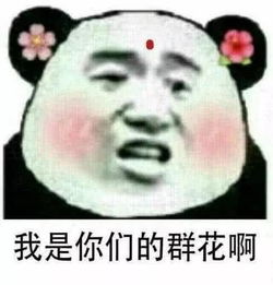 群聊专用表情包,让你迅速成为群花,异姓加到手软