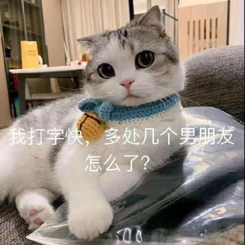 给你家猪发的沙雕表情