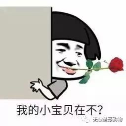 点赞送秋装迪奥费雷