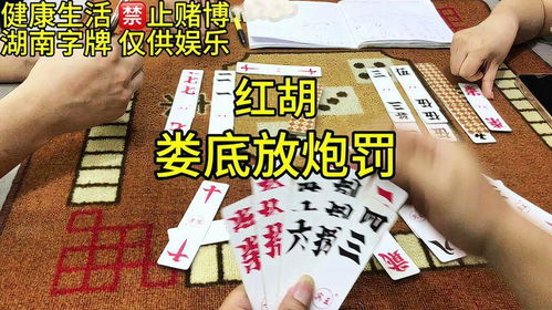 红胡跑胡子跑胡子技巧娄底放炮罚字牌打牌
