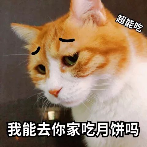 中秋专用表情包