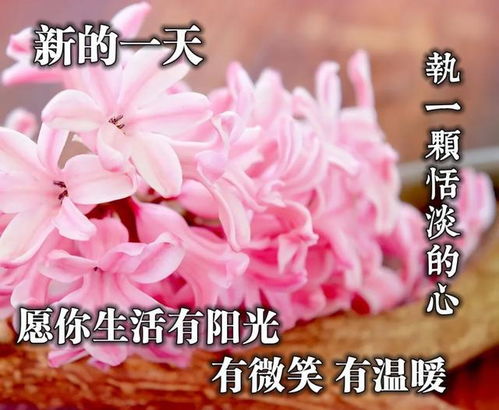 早上好问候语动态表情图文字,微信新的漂亮祝福语图片