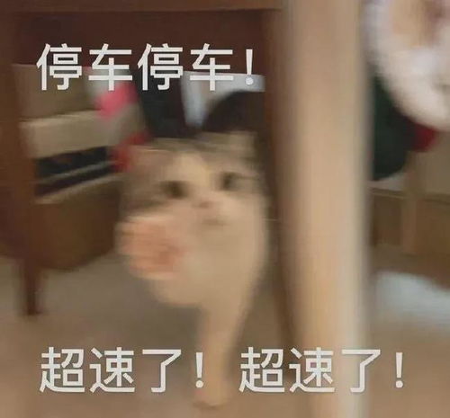 武汉的公交车有多夸张开得和飞机差不多,真能做到安全第一吗