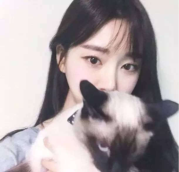 为什么要养狗忠犬护主的故事不只发生在国外