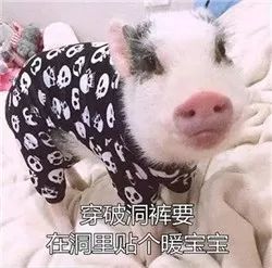 2020健康广东草本养生节盛大启动,助你扛起健康flag