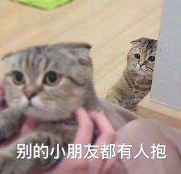 果真人不可貌相,这个看脸的社会骗得我好苦