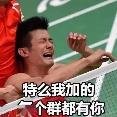 群主嫑踢我,我真的是来打羽毛球的,不是你想的那样