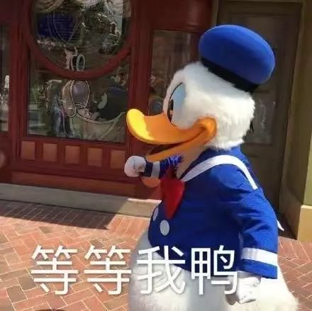 比心搞笑表情包鸭鸭