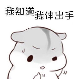 装完比就跑表情包