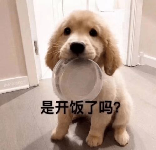 一周新鲜事明凯秀恩爱mystic直播透露应该这个月来中国