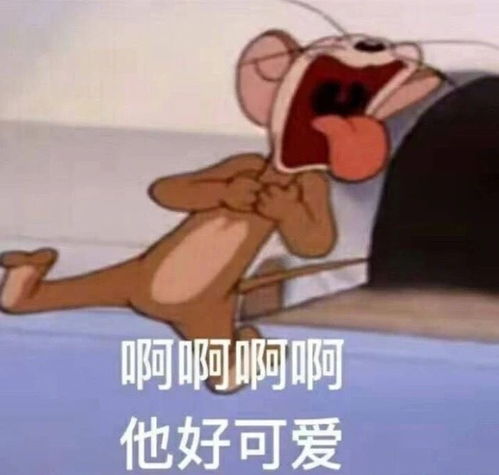 有哪些当代沙雕发朋友圈必备的搞笑文案