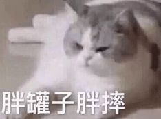 90的人,蛋炒饭的第一步就做错了口感