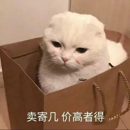 适合官宣的搞笑朋友圈文案