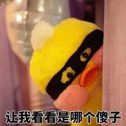 这么受欢迎的网红鸭别说你还不知道