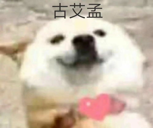 有哪些适合发给女朋友的表情包本人女