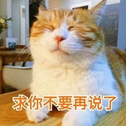 哪些好看又有趣的萌宠表情包,你的手机里有吗