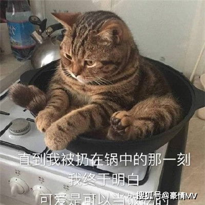 很有意思的表情包聊天有趣的斗图表情图片