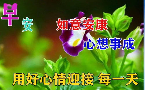 最漂亮早上好动态表情图片大全,早晨好动图美图大全