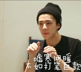 exol们看过来,大家有没有好玩的关于exo的表情包啊