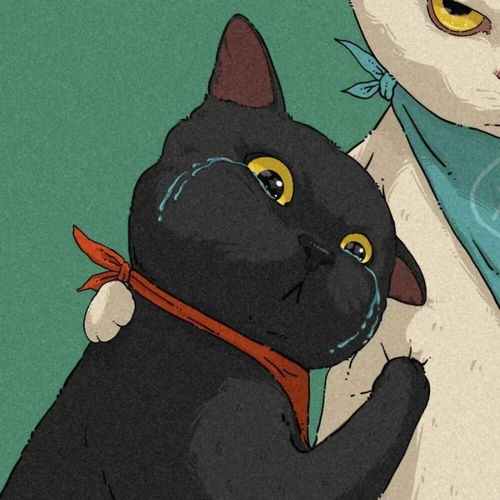 猫右超喜欢这种可爱的猫咪情侣头像绝绝子