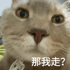 表情包让你不回我消息