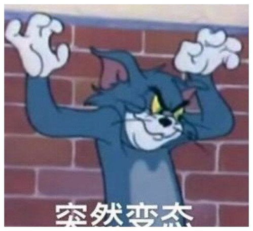 搞笑gif我裤子都脱了,你却给我看这个