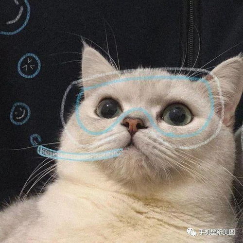 2020最近比较火的qq头像,你值得拥有