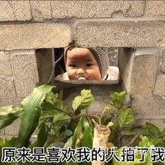 沙雕又有趣的微信拍一拍后缀文案