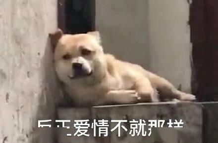 罗志祥520青春伤痛文案,炸出一大波段子高手
