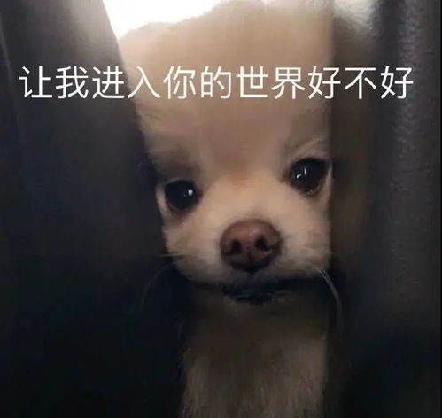 表情包六一可以用的表情包