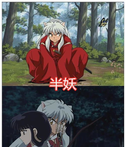 动漫中非人类的男主,巴卫是狐狸,犬夜叉半妖,而他竟是巨人