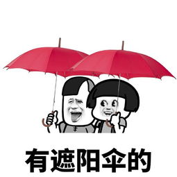 找一名伞友,要妹子,有遮阳伞的表情包