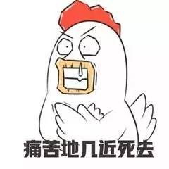 鸡年斗图必备不用这些表情包怎么好意思跟别人聊天逗乐