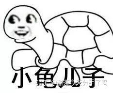 爱用沙雕表情的女孩子就一定沙雕吗