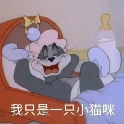 沙雕表情包l你这是什么态度