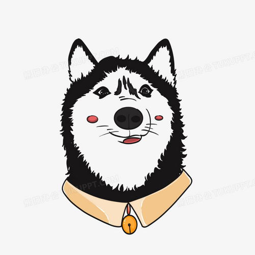 q版卡通二哈头像哈士奇png图片素材下载卡通png熊猫办公