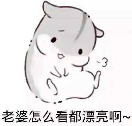 老婆的使用说明书终于出世了哪个编的肚子都笑痛了