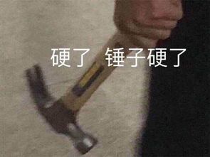暴雪最难游戏,居然被国产电视剧带节奏国服第二选手改名嘲讽