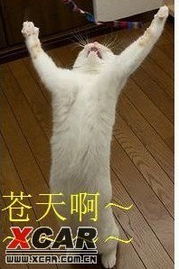 结构工程师的相片