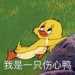 斗图表情包合集你清醒一点