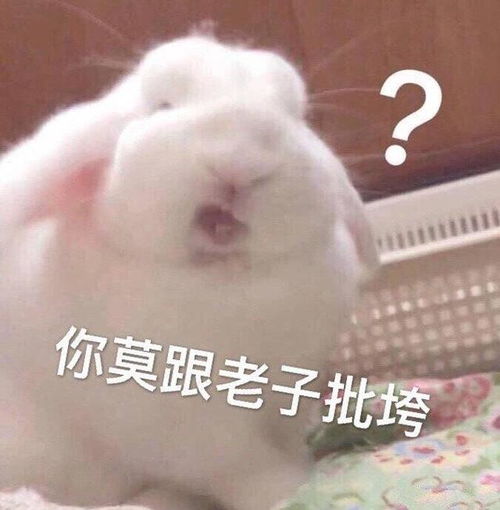 搞笑gif开心一刻这妹子比不过你啊