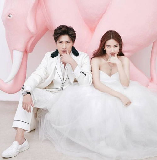 杨洋恭喜uzi结婚快乐是怎么回事,关于杨洋结婚图片的新消息多特软件资讯
