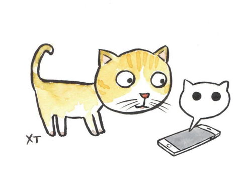 每日一笑262猫的微信