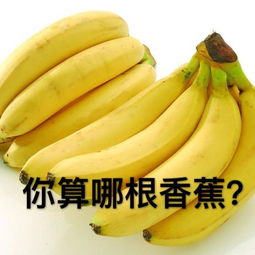在我吃货专用斗图包前你算哪颗辣鸡