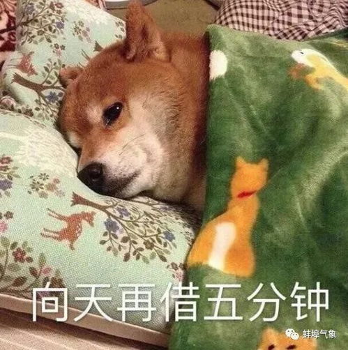 春运天气未来三天以晴到多云天气为主,17准备提货