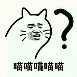 可爱喵喵猫表情包