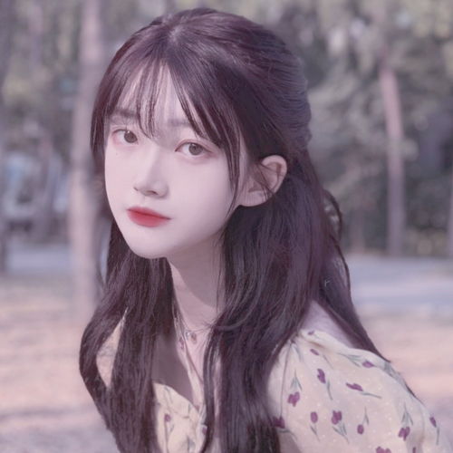 无标题