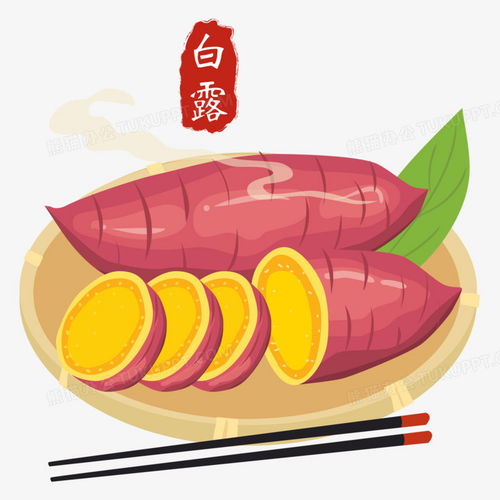 手绘白露食物番薯烤地瓜png图片素材免费下载手绘png20002000像素熊猫办公