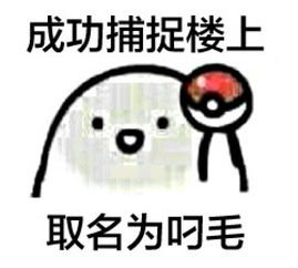 成功捕捉楼上堆糖,美好生活研究所